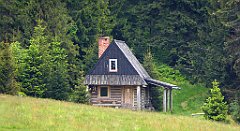 057_TZ60_P1110914_cr