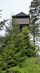 061_TZ60_P1110918_cr