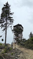 062_TZ60_P1110919_cr