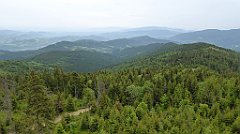 066_TZ60_P1110924_cr