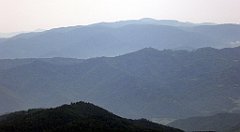 091_TZ60_P1110960_cr