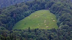 099_TZ60_P1110968_cr