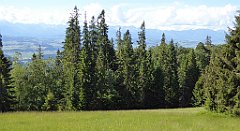 0111_TZ60_P1120062_cr