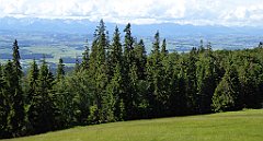 0131_TZ60_P1120082_cr