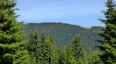 0143_TZ60_P1120093_cr