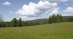 0148_TZ60_P1120096_cr