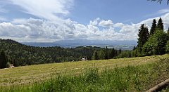 0176_TZ60_P1120108_cr