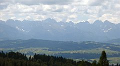 0180_TZ60_P1120112_cr