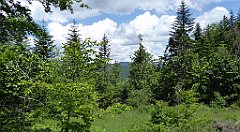 0209_TZ60_P1120129_cr