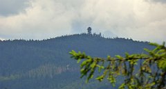 0211_TZ60_P1120131_cr