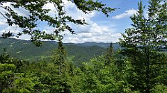 0215_TZ60_P1120134_cr