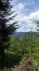 0222_TZ60_P1120138_cr