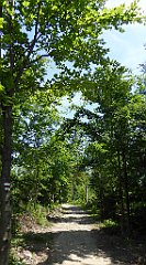 0225_TZ60_P1120141_cr