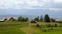 0229_TZ60_P1120143_cr