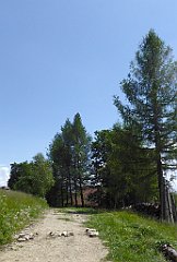 0231_TZ60_P1120145_cr