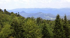 0286_TZ60_P1120178_cr