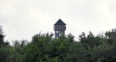 0314_TZ60_P1120201_cr