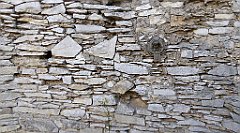 0033_TZ60_P1120241_cr