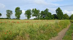 0049_TZ60_P1120258_cr