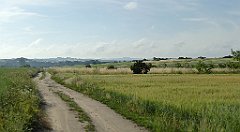 0052_TZ60_P1120261_cr