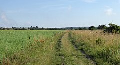 0059_TZ60_P1120268_cr