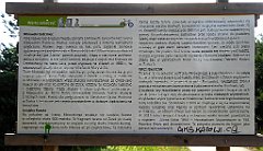 0067_TZ60_P1120276_cr