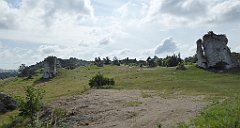 0113_TZ60_P1120308_cr