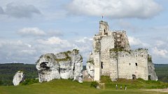 0125a_TZ60_P1120311_cr