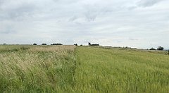 0342_TZ60_P1120361_cr