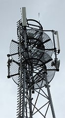 0367_TZ60_P1120391_cr