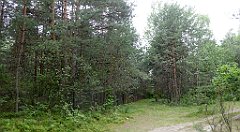 0382_TZ60_P1120393_cr