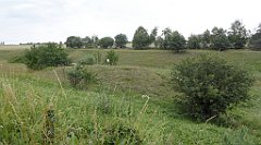 0400_TZ60_P1120395_cr