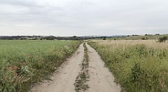 0405_TZ60_P1120401_cr