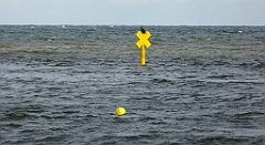 0153_TZ60_P1120503_cr