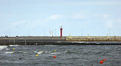 0187_TZ60_P1120523_cr