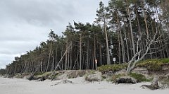 0271_TZ60_P1120607_cr