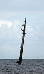 0281_TZ60_P1120617_cr