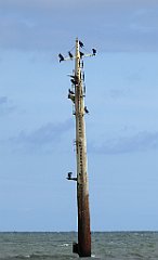 0298_TZ60_P1120630_cr