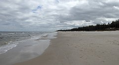 0330_TZ60_P1120661_cr