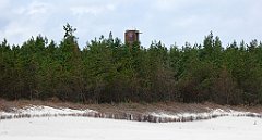 0357a_TZ60_P1120677_cr