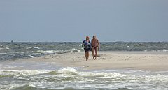 0380_TZ60_P1120686_cr