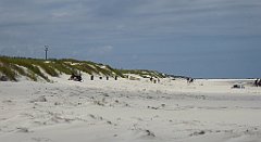 0402_TZ60_P1120707_cr