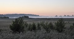 0011_TZ60_P1120749_cr