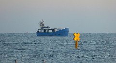 0056_TZ60_P1120768_cr