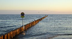 0068_TZ60_P1120776_cr