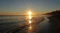 0071a_TZ60_P1120777_cr