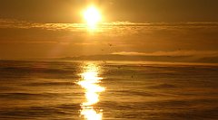 0071b_TZ60_P1120778_cr