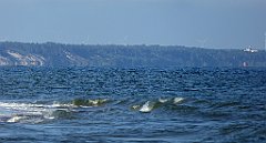 0267_TZ60_P1120907_cr