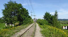 130_TZ60_P1130029_cr