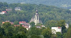 133_TZ60_P1130163_cr